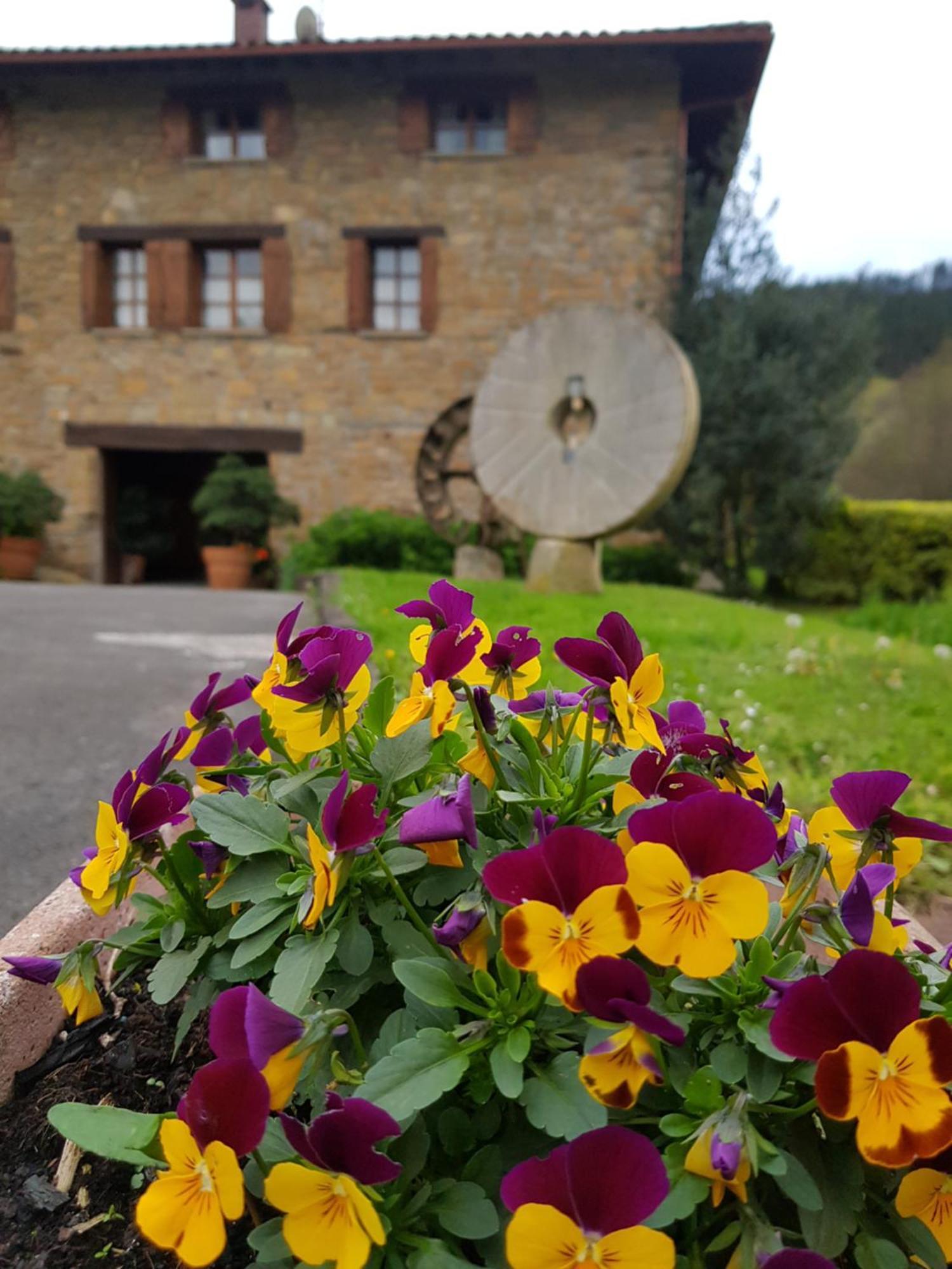 Agroturismo Iberreko Errota Muxika Exteriér fotografie