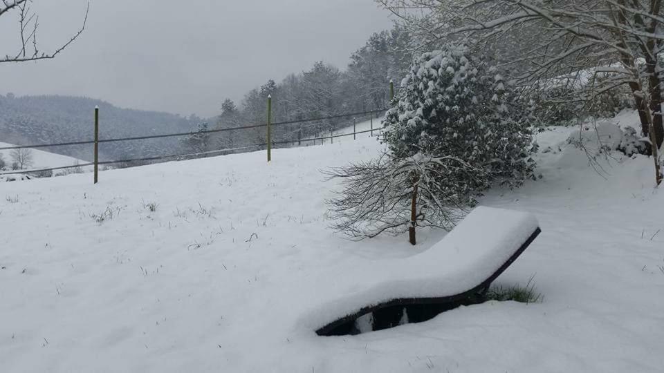 Agroturismo Iberreko Errota Muxika Exteriér fotografie